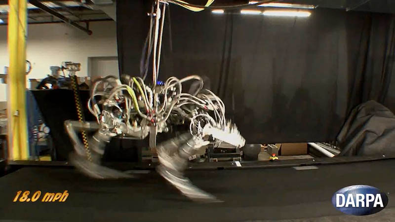 darpa cheetah sets speed record for legged robots 1 DARPA Cheetah Sets Land Speed Record for Legged Robots at 18mph (29km/h)