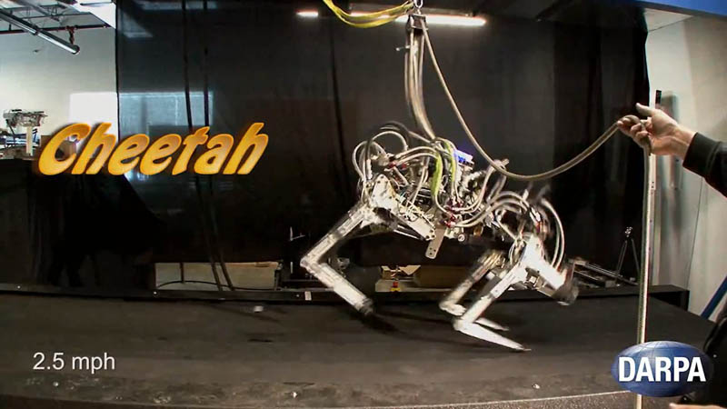 darpa cheetah sets speed record for legged robots 2 DARPA Cheetah Sets Land Speed Record for Legged Robots at 18mph (29km/h)