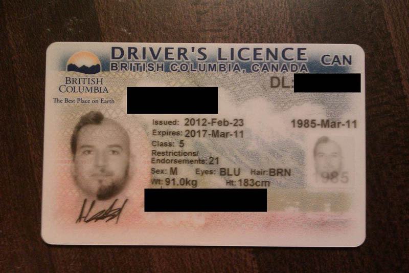 half shaved beard head drivers license two face 9 This Guy Went All Out for the Ultimate Drivers License Photo