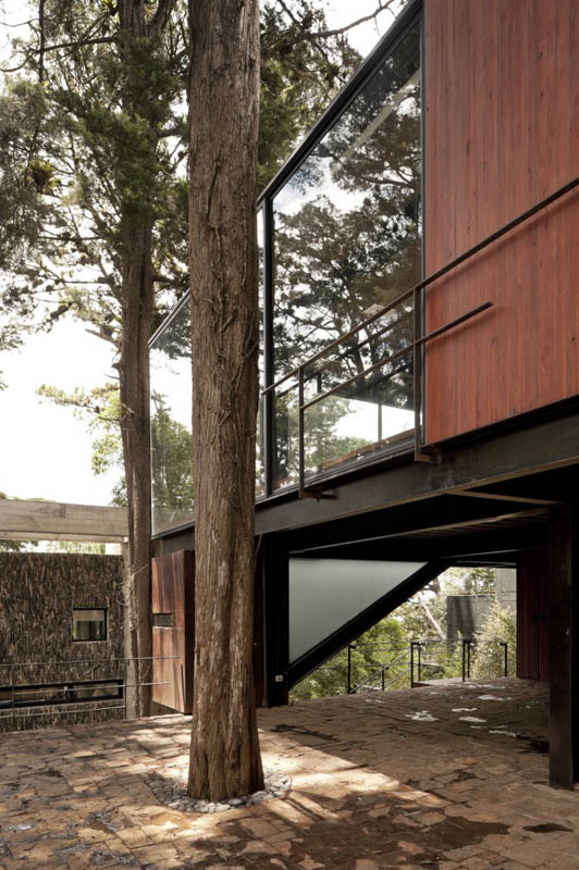 house in forest with trees growing through it 3 An Incredible Home in the Forest With Trees Growing Through It