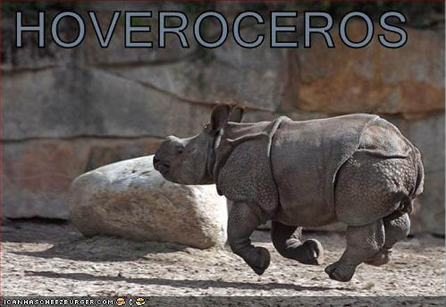 hover rhinoceros The 25 Funniest Hover Animals Ever
