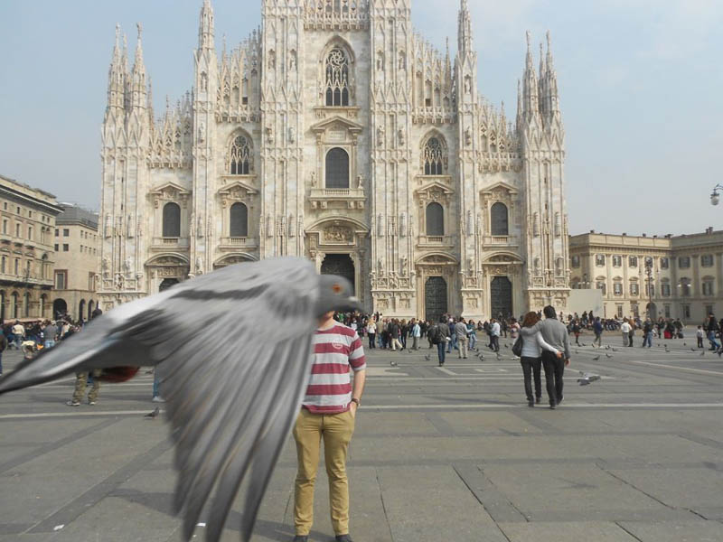 pigeon photobombing duomo milan The 15 Greatest Animal Photobombs of All Time