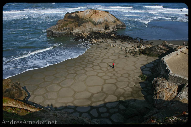 sand beach art andres amador 1 The Incredible Beach Art of Andres Amador