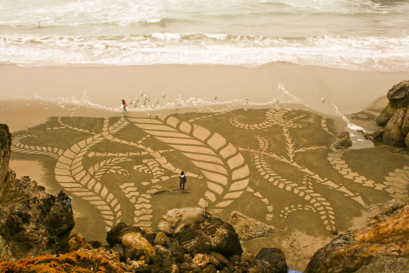 sand beach art andres amador 13 The Incredible Beach Art of Andres Amador