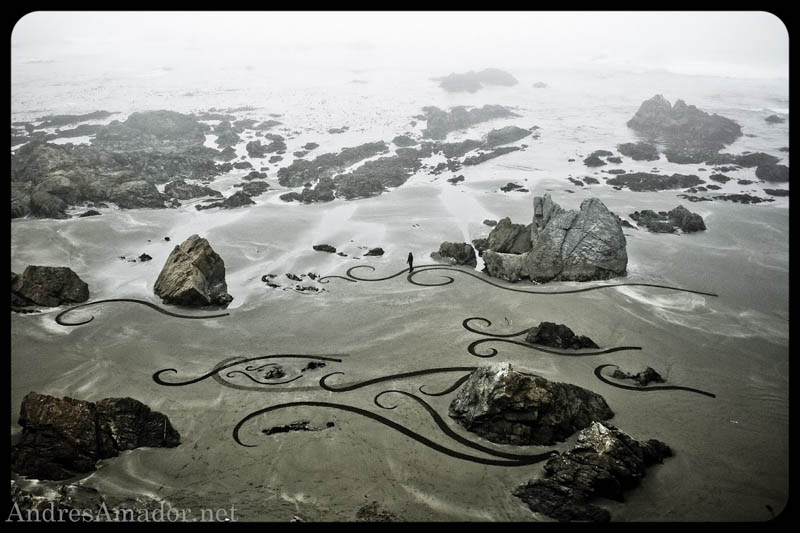 sand beach art andres amador 16 The Incredible Beach Art of Andres Amador