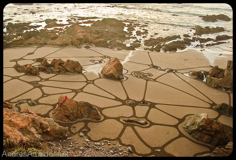 sand beach art andres amador 20 The Incredible Beach Art of Andres Amador