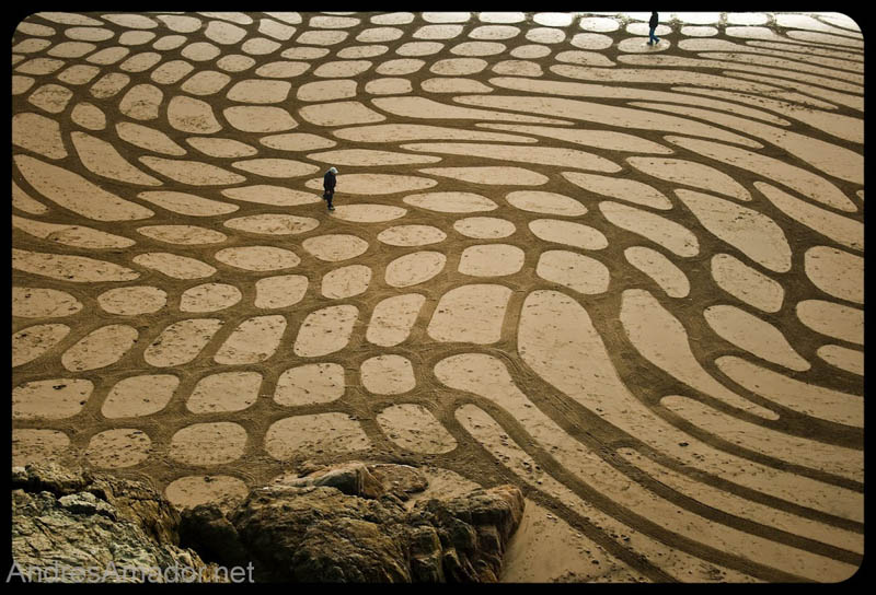 sand beach art andres amador 9 The Incredible Beach Art of Andres Amador