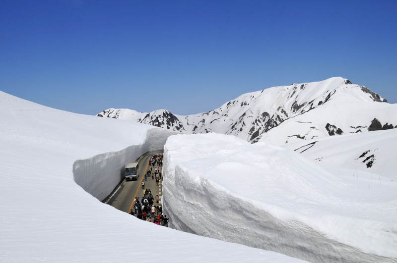 tateyama kurobe alpine route snow corridor 20 meters 65 ft walls 7 The 65 Foot (20m) Snow Corridor in Japan