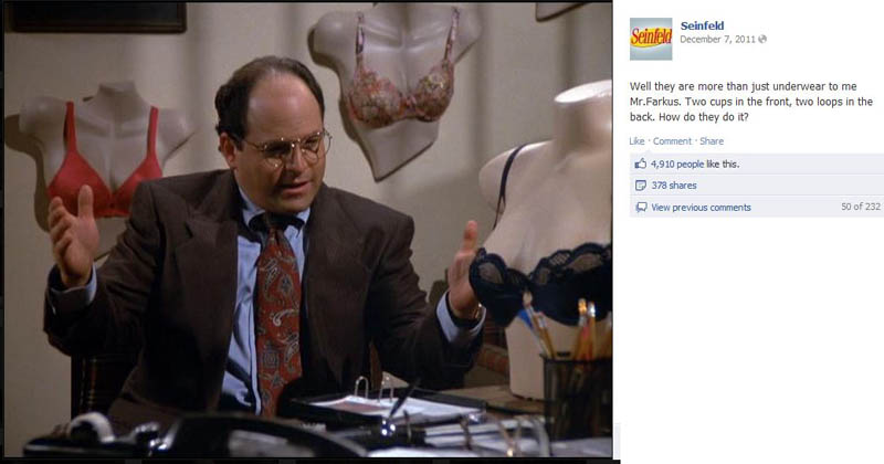 bro manzeer seinfeld 50 Glorious Moments on Seinfeld