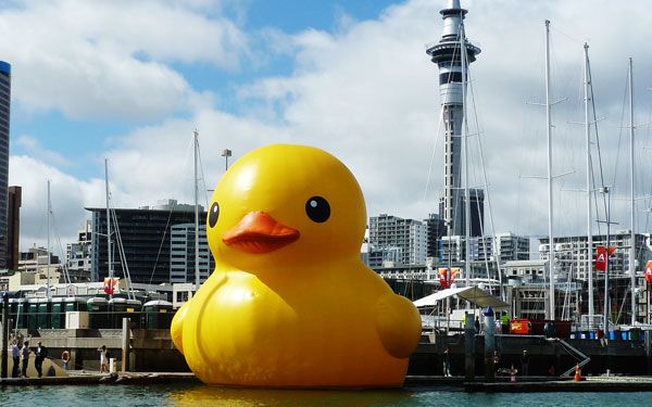 giant inflatable rubber duck florentijn hofman auckland new zealand 1 The World Travels of a Giant Rubber Duck