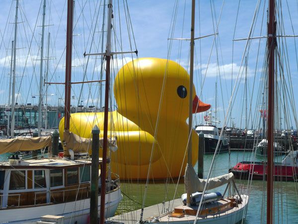 giant inflatable rubber duck florentijn hofman auckland new zealand 4 The World Travels of a Giant Rubber Duck
