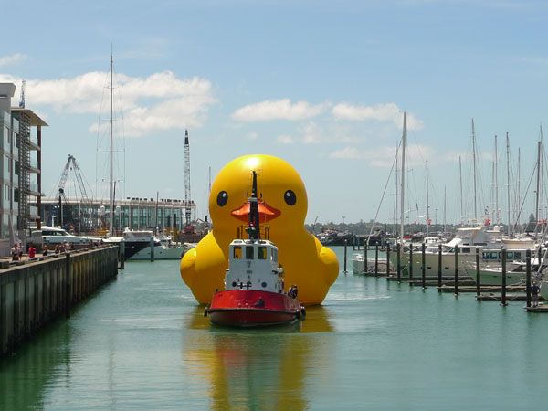 giant inflatable rubber duck florentijn hofman auckland new zealand 5 The World Travels of a Giant Rubber Duck