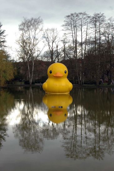 giant inflatable rubber duck florentijn hofman nuremberg germany 2 The World Travels of a Giant Rubber Duck