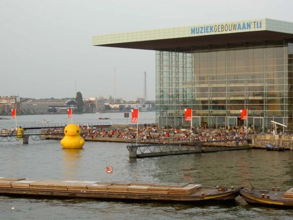 giant inflatable rubber ducky florentijn hofman amsterdam 2 The World Travels of a Giant Rubber Duck