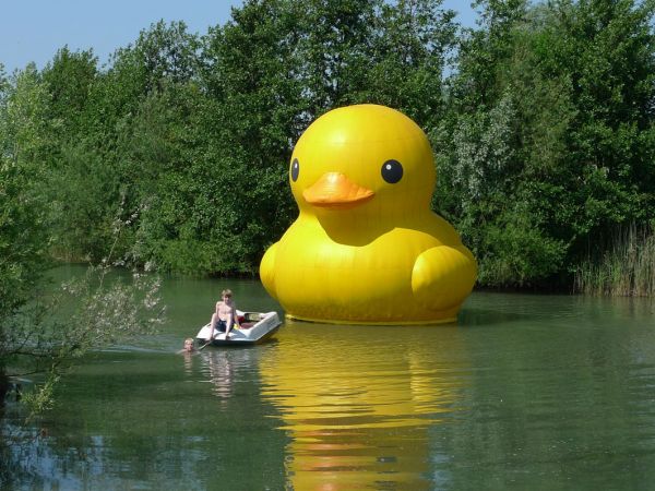 giant inflatable rubber ducky florentijn hofman elst netherlands 2 The World Travels of a Giant Rubber Duck