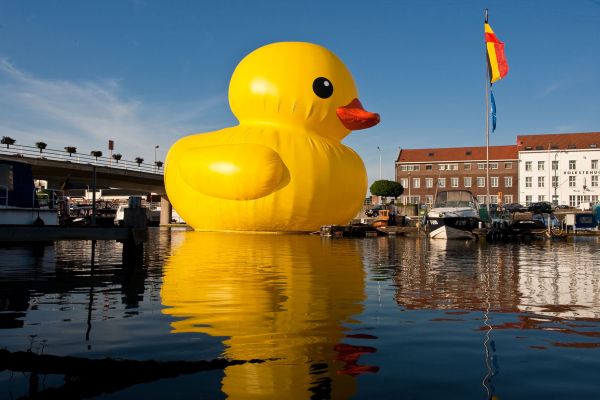 giant inflatable rubber ducky florentijn hofman hasselt belgium 2 The World Travels of a Giant Rubber Duck