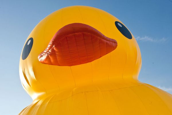 giant inflatable rubber ducky florentijn hofman hasselt belgium 4 The World Travels of a Giant Rubber Duck