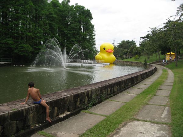 giant inflatable rubber ducky florentijn hofman sau paulo brazil 2 The World Travels of a Giant Rubber Duck