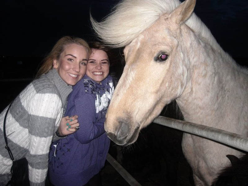 horse with fabulous hair 2 The Shirk Report   Volume 159