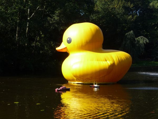 wassenaar the netherlands giant inflatable rubber ducky florentijn hofman 1 The World Travels of a Giant Rubber Duck