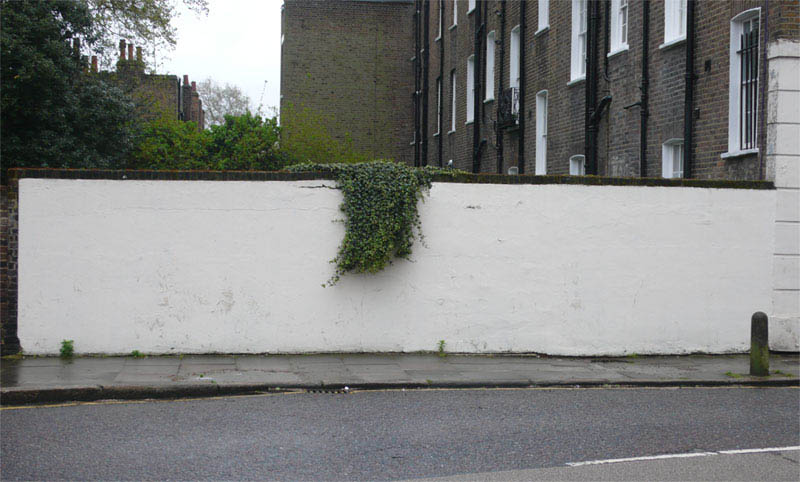 banksy bush trim street art 1 10 Latest Artworks from Banksy
