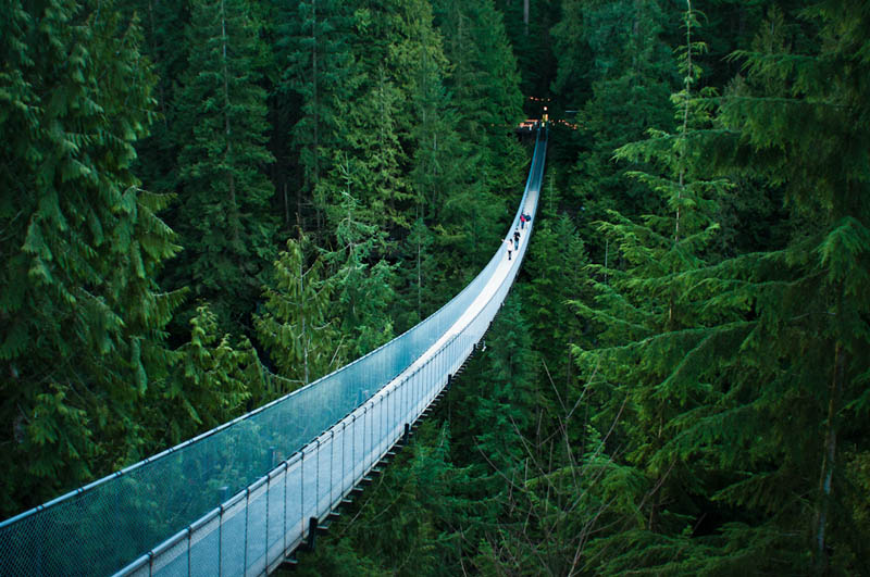 capilano suspension bridge in vancouver Picture of the Day: The Capilano Suspension Bridge in Vancouver