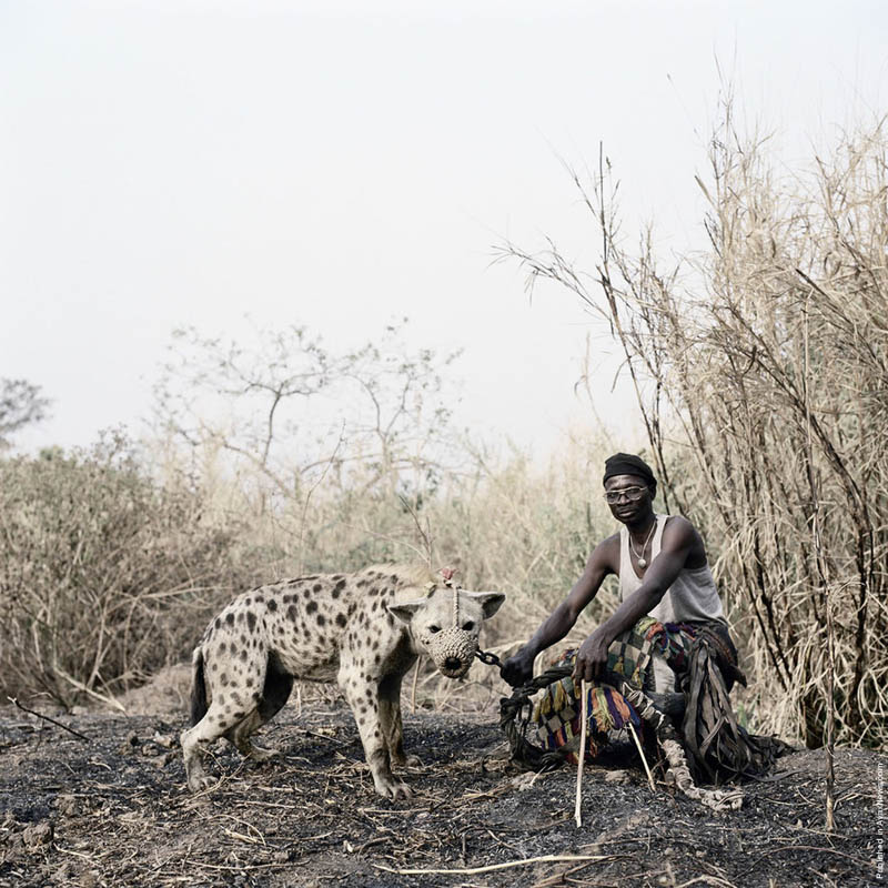the hyena and other men pieter hugo 1 The Hyena Handlers of Nigeria