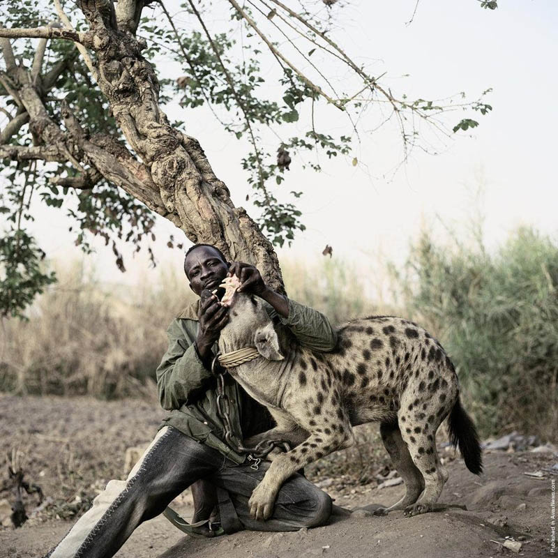 the hyena and other men pieter hugo 3 The Hyena Handlers of Nigeria