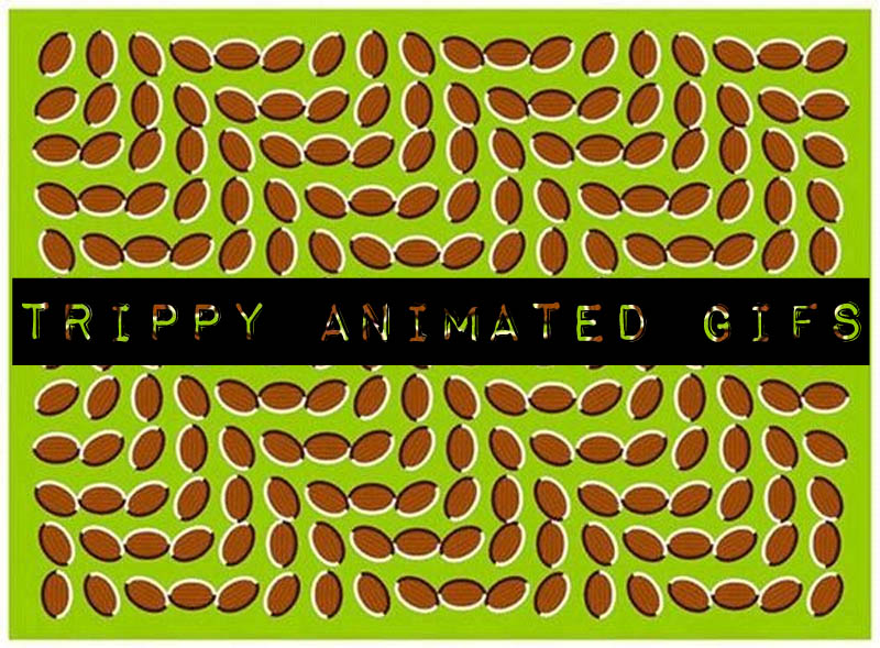 trippy animated gifs These 15 Animated Gifs Will Trip You Out