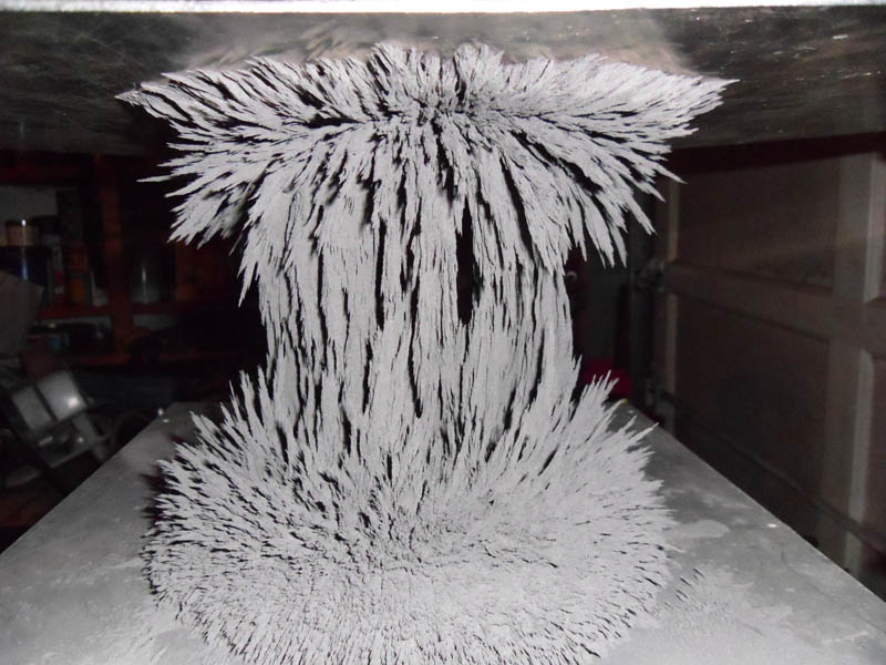 visualizing magnetic fields with iron filings 4 10 Photos to Help You Visualize Magnetic Fields 