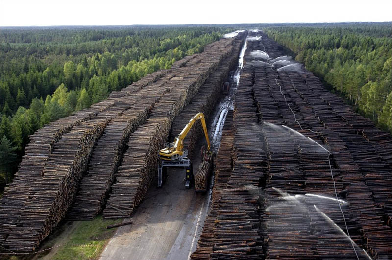 worlds largest stockpile of wood denmark sweden gudrun cyclone byholma Picture of the Day: The Worlds Largest Stockpile of Wood