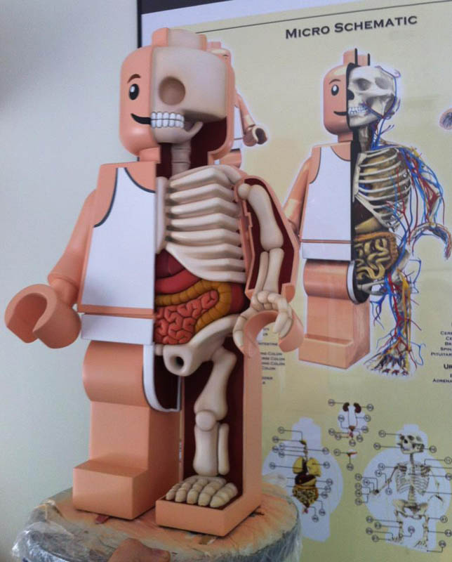 anatomy of a lego man jason freeny 10 The Anatomy of a LEGO Man