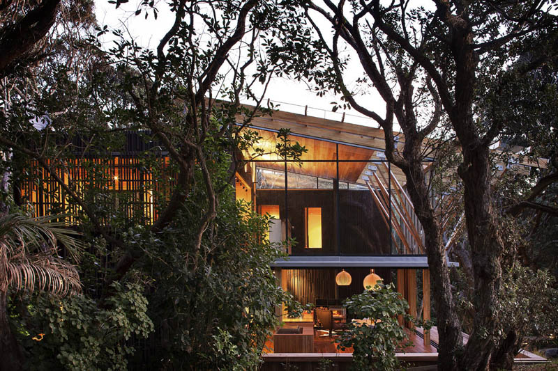 beach house surrounded by trees under pohutukawa herbst architects 10 Award Winning Beach House Surrounded by Trees