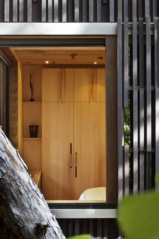beach house surrounded by trees under pohutukawa herbst architects 4 Award Winning Beach House Surrounded by Trees