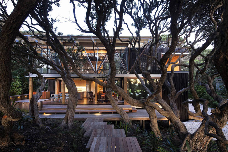 front of beach house in new zealand surrounded by mature trees