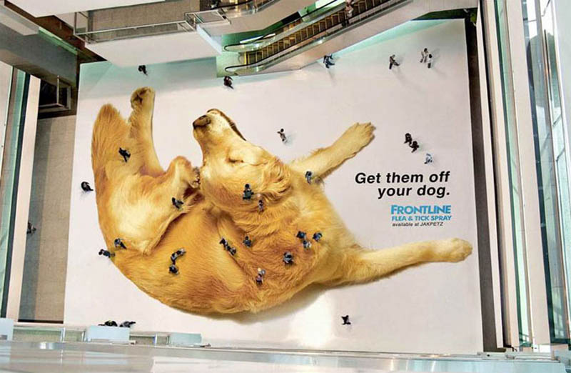 aerial overhead shot of floor sticker ad with a giant dog that makes people look like fleas and ticks