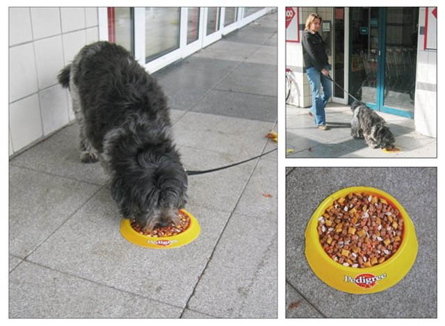 sidewalk sticker looks like dog food bowl for pedigree ad