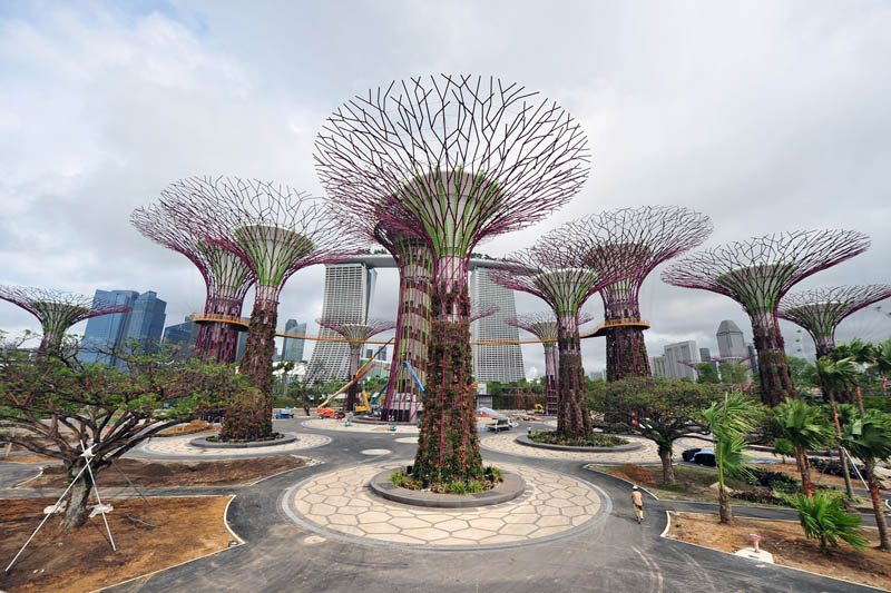 gardens by the bay supertrees singapore 1 The Largest Vertical Garden in the World