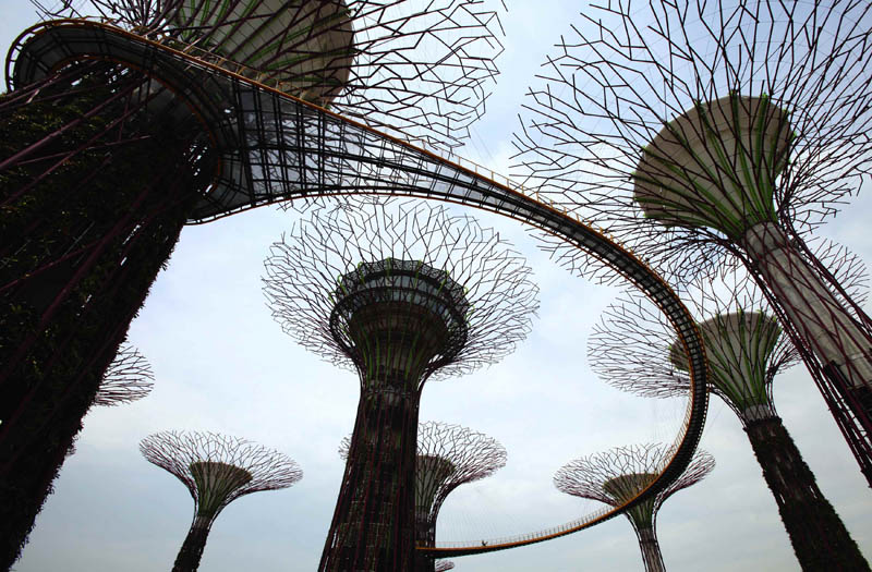 people walk on the supertree aerial walkway that links the giant concrete supertrees at Gardens by the Bay in Singapore