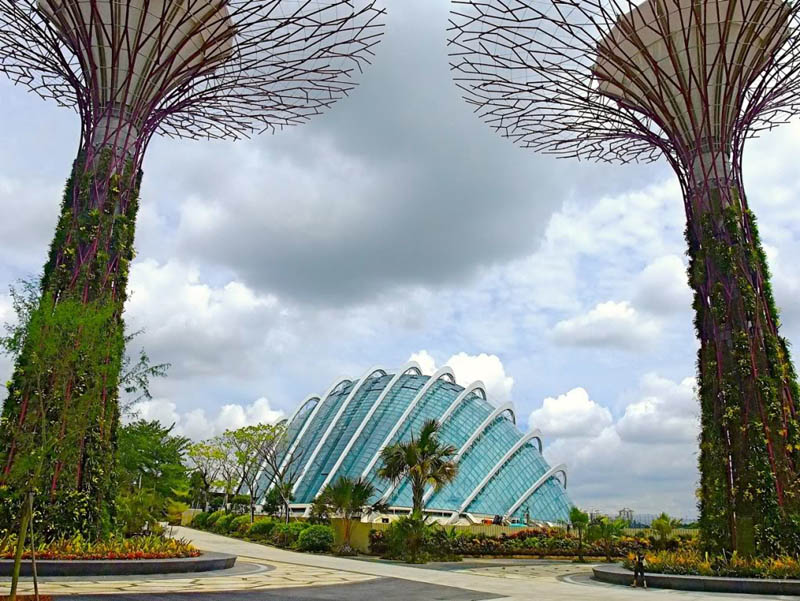 gardens by the bay supertrees with one of the two biomes in the background