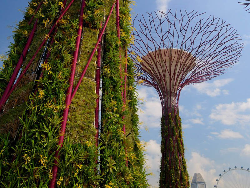 gardens by the bay supertrees singapore 7 The Supertrees of Singapore