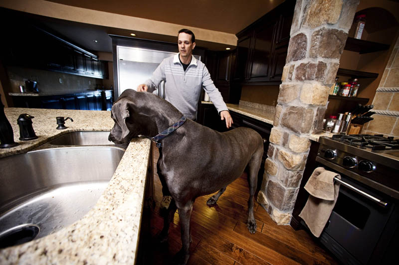 the tallest dog in the world in a kitchen