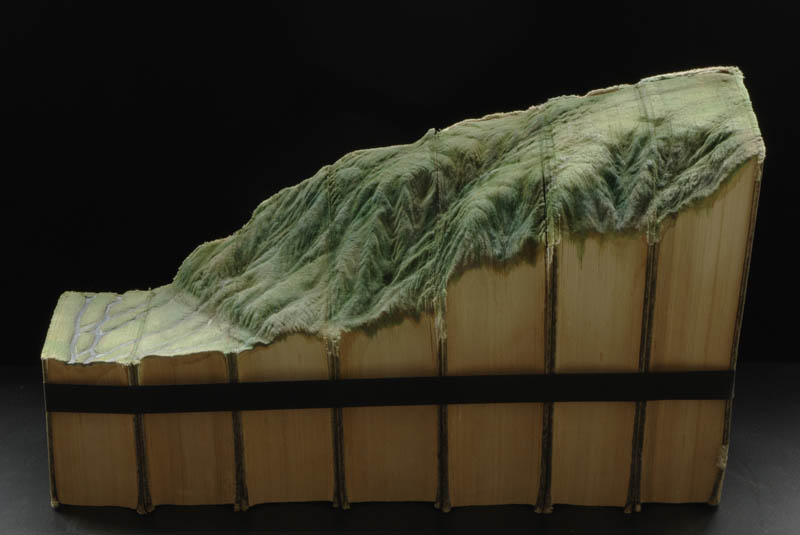 side profile of landscape carved into series of books