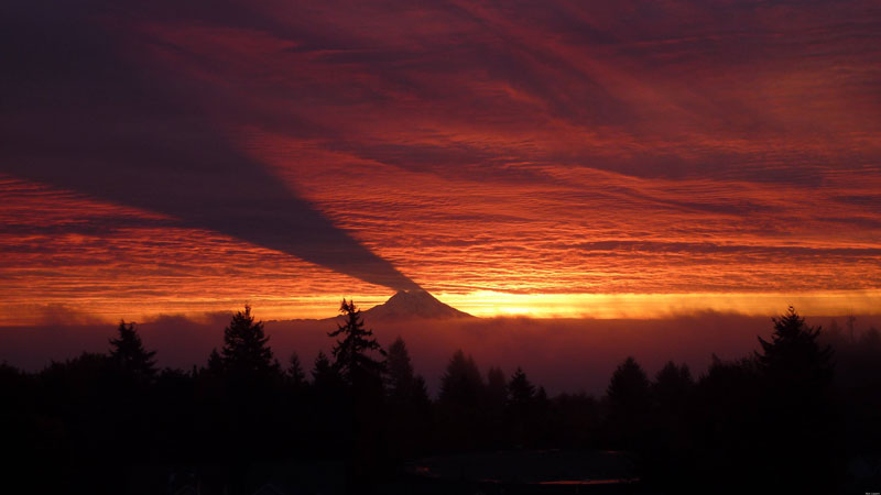 mount rainier casting a shadow on clouds Picture of the Day: Mt. Rainier Casting a Shadow on Clouds