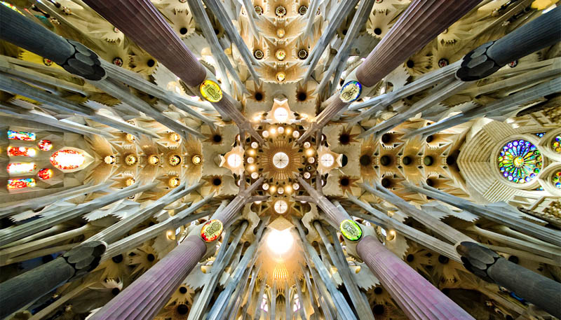 in the nave of sagrada familia looking up at the ornate ceiling