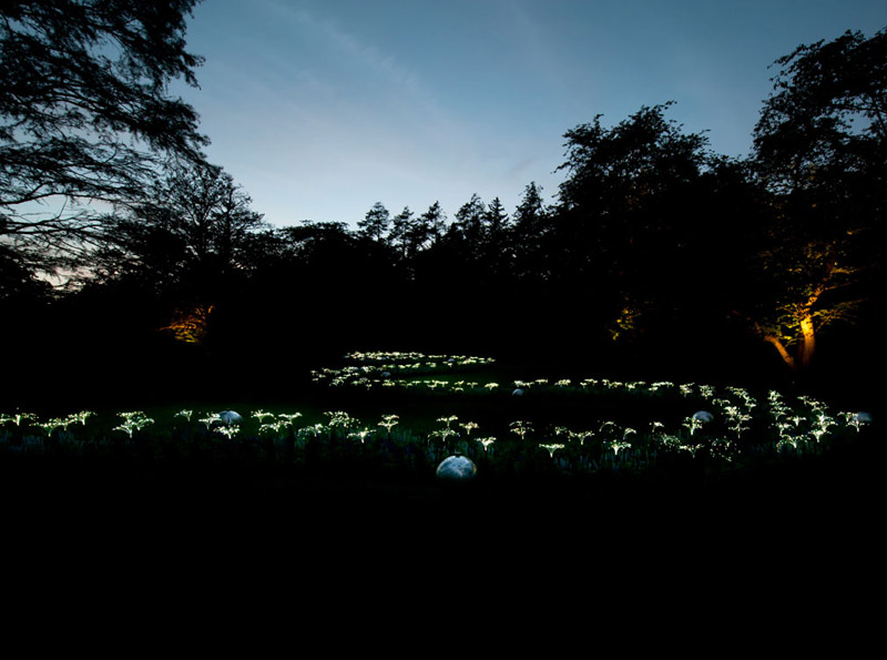 arrow spring light installation by bruce munro at longwood gardens Bruce Munros Light Installations at Longwood Gardens