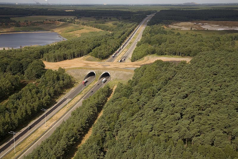 ecoducts crossing e314 belgium animal bridge wildlife crossing overpass City with Big Hill Builds Bike Escalator to Encourage Casual Cyclists