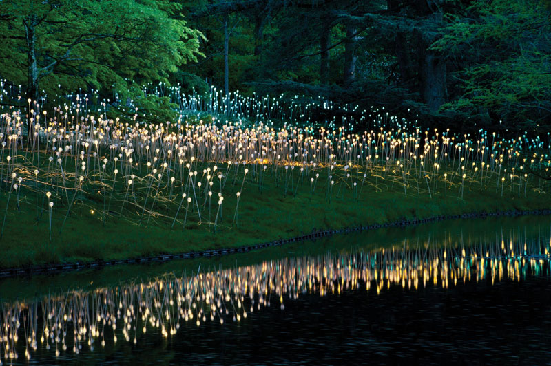 field of light installation by bruce munro longwood gardens 2 Bruce Munros Light Installations at Longwood Gardens