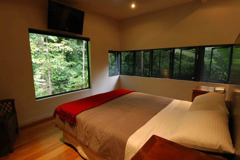 rainforest tree house mmp architects cairns australia 9 The Rainforest Tree House in Cairns, Australia