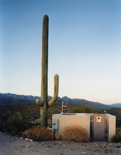 cell phone tower disguised as a cactus 4 25 Cell Phone Towers Disguised to Look Like Something Else